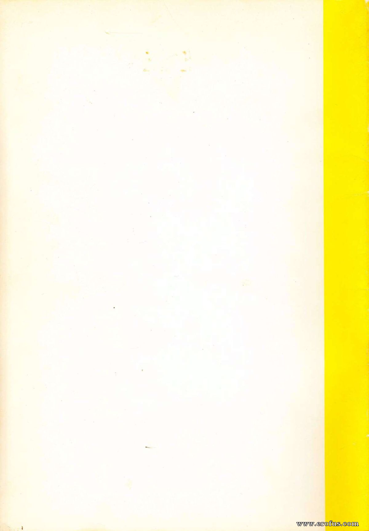 picture 47.jpg