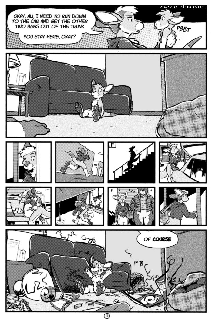 picture 11.jpg