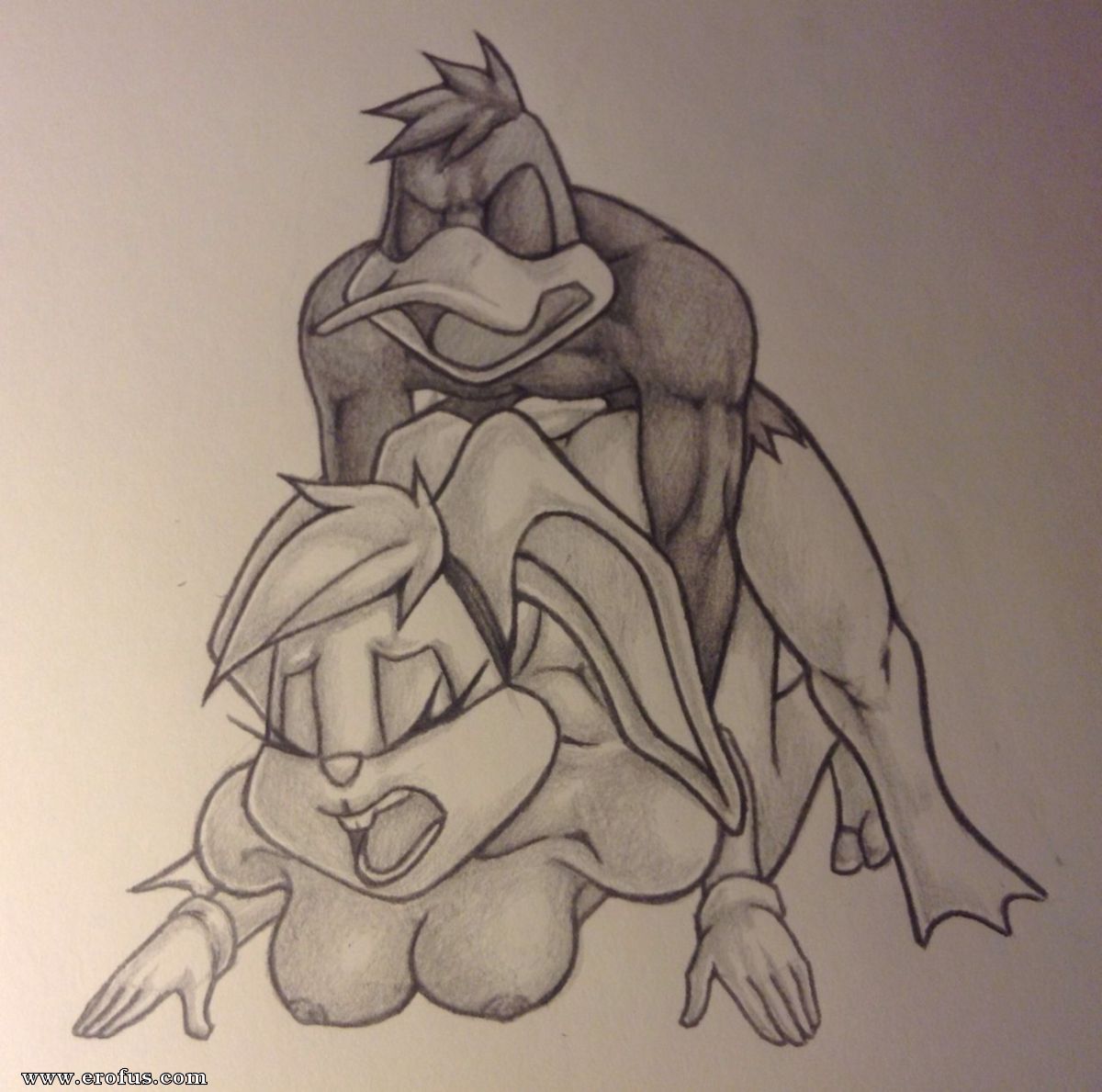 picture 12.jpg