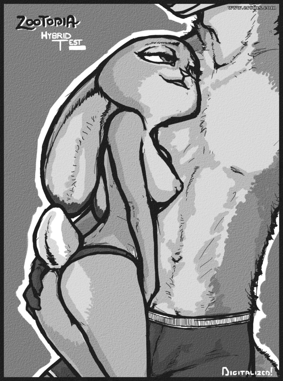 picture 02.png