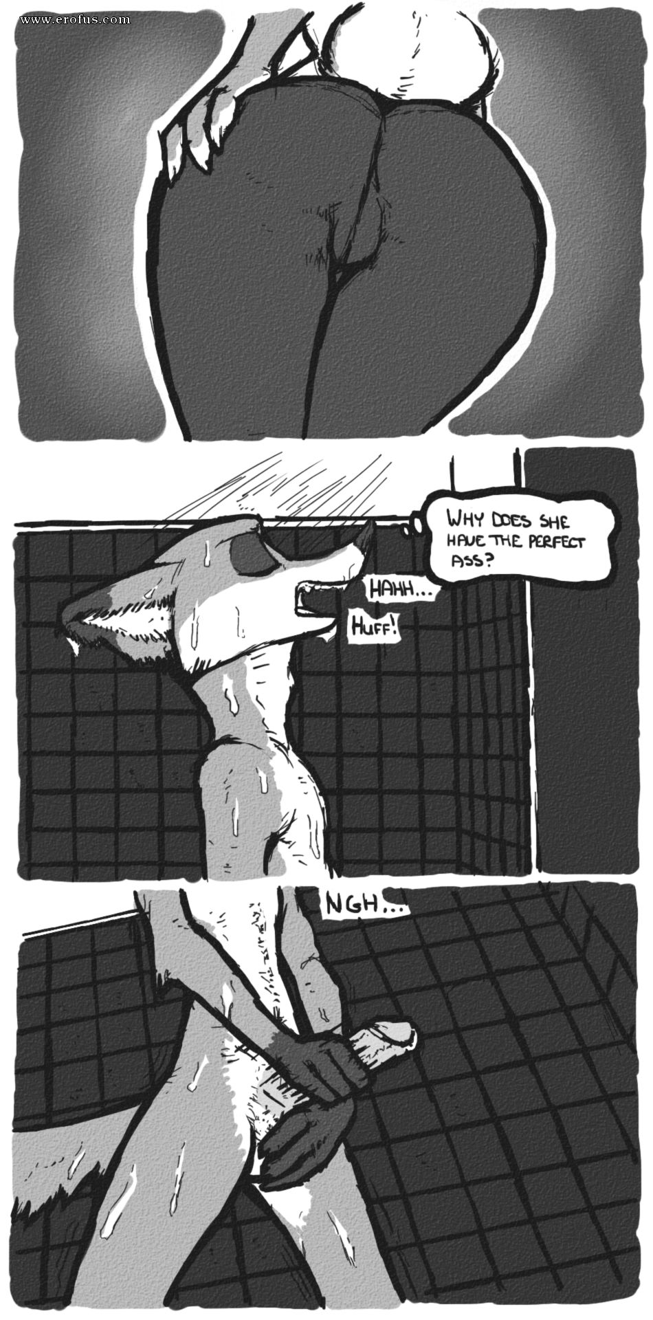 picture 36.png