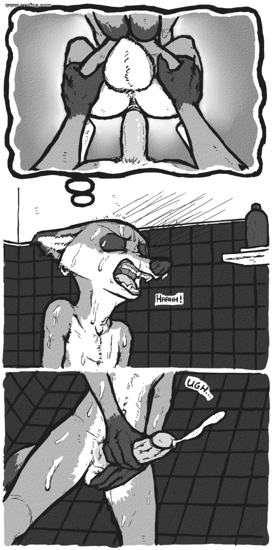picture 37.png