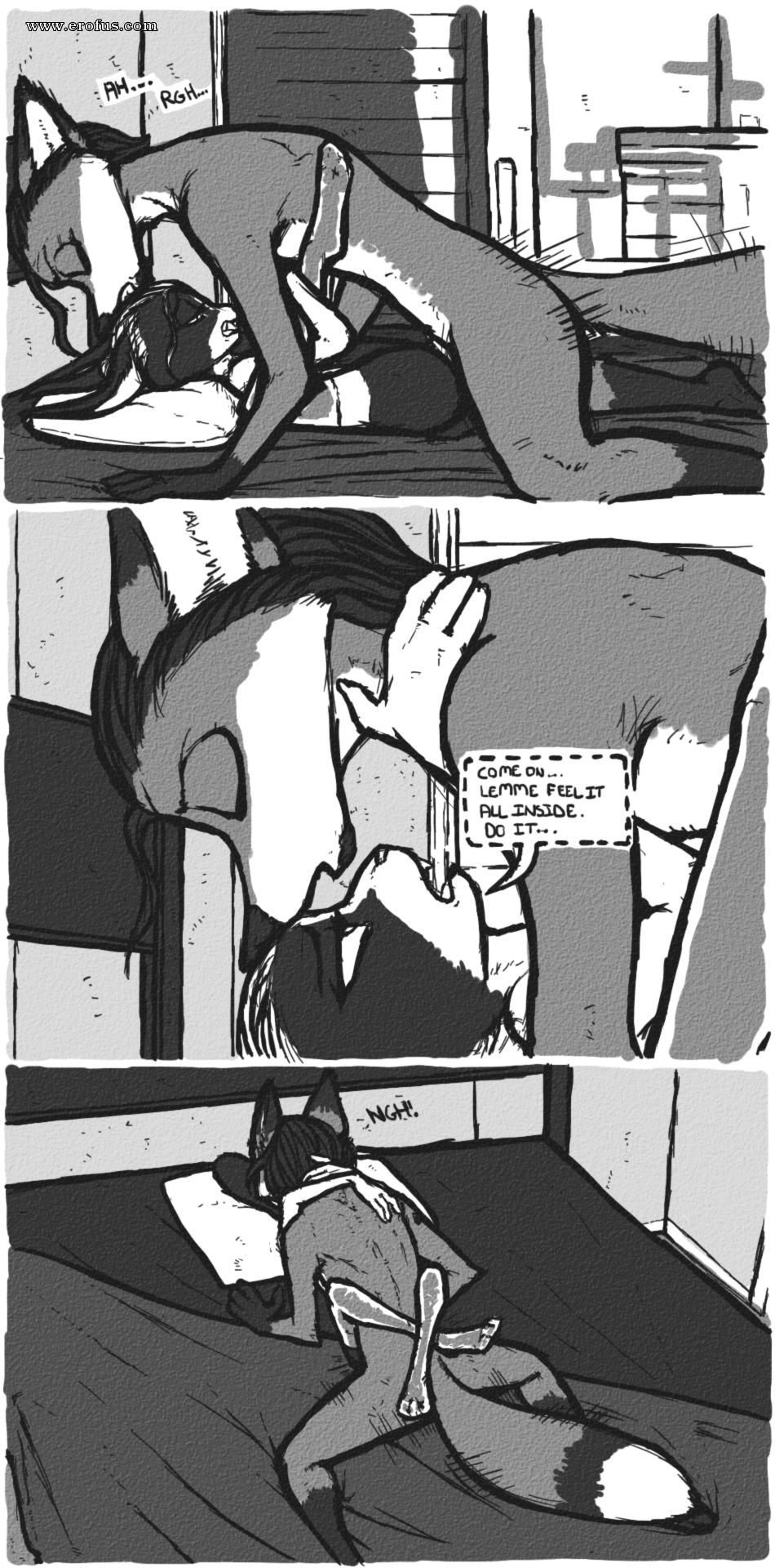 picture 48.png