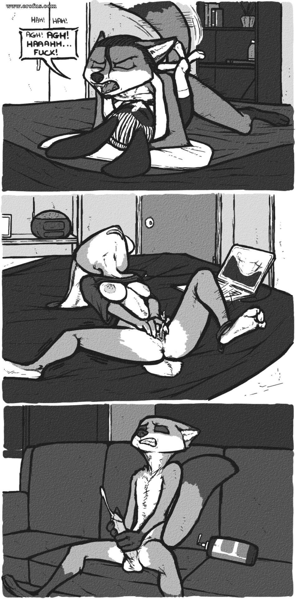 picture 51.png