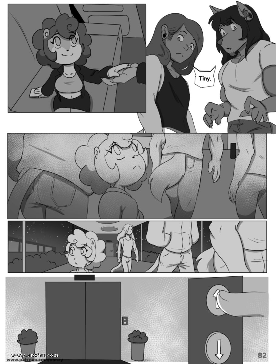 picture 11.png