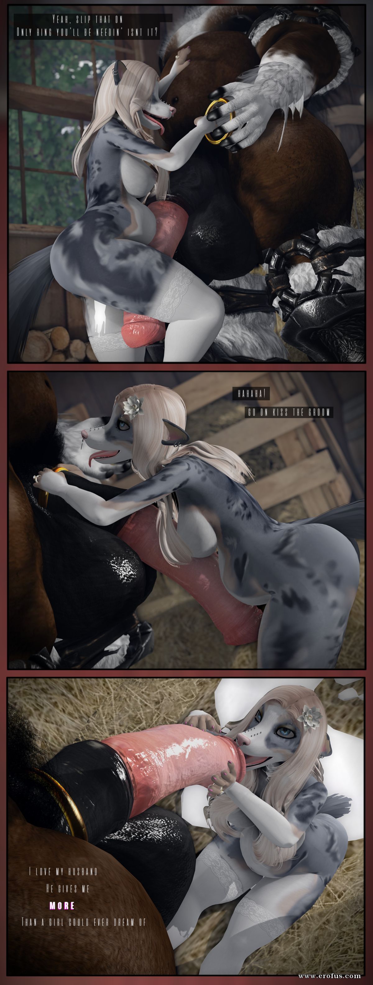 picture 11.png