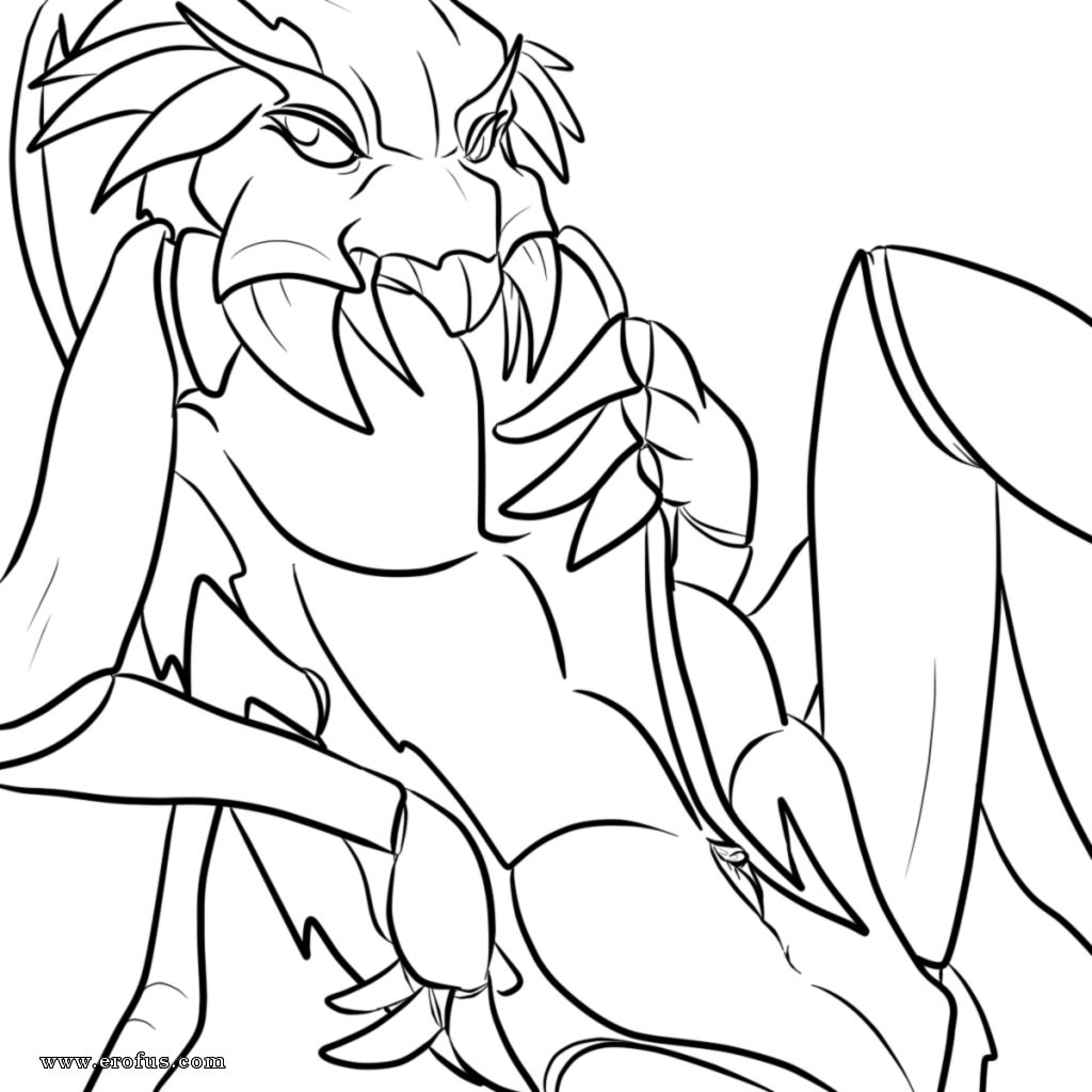 picture 27.png