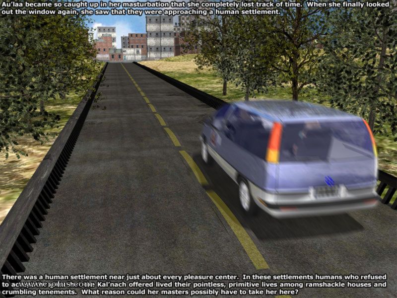 picture 11.jpg