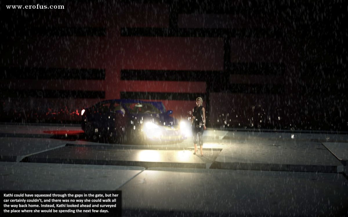 picture 11.png