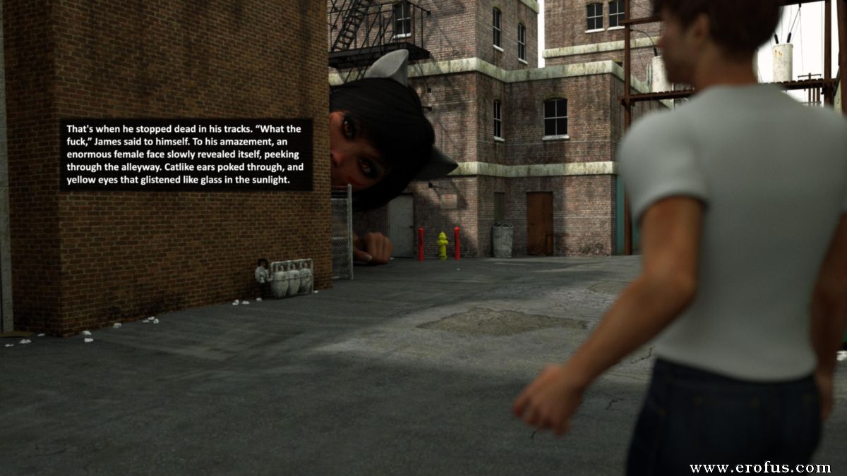 picture 12.jpg