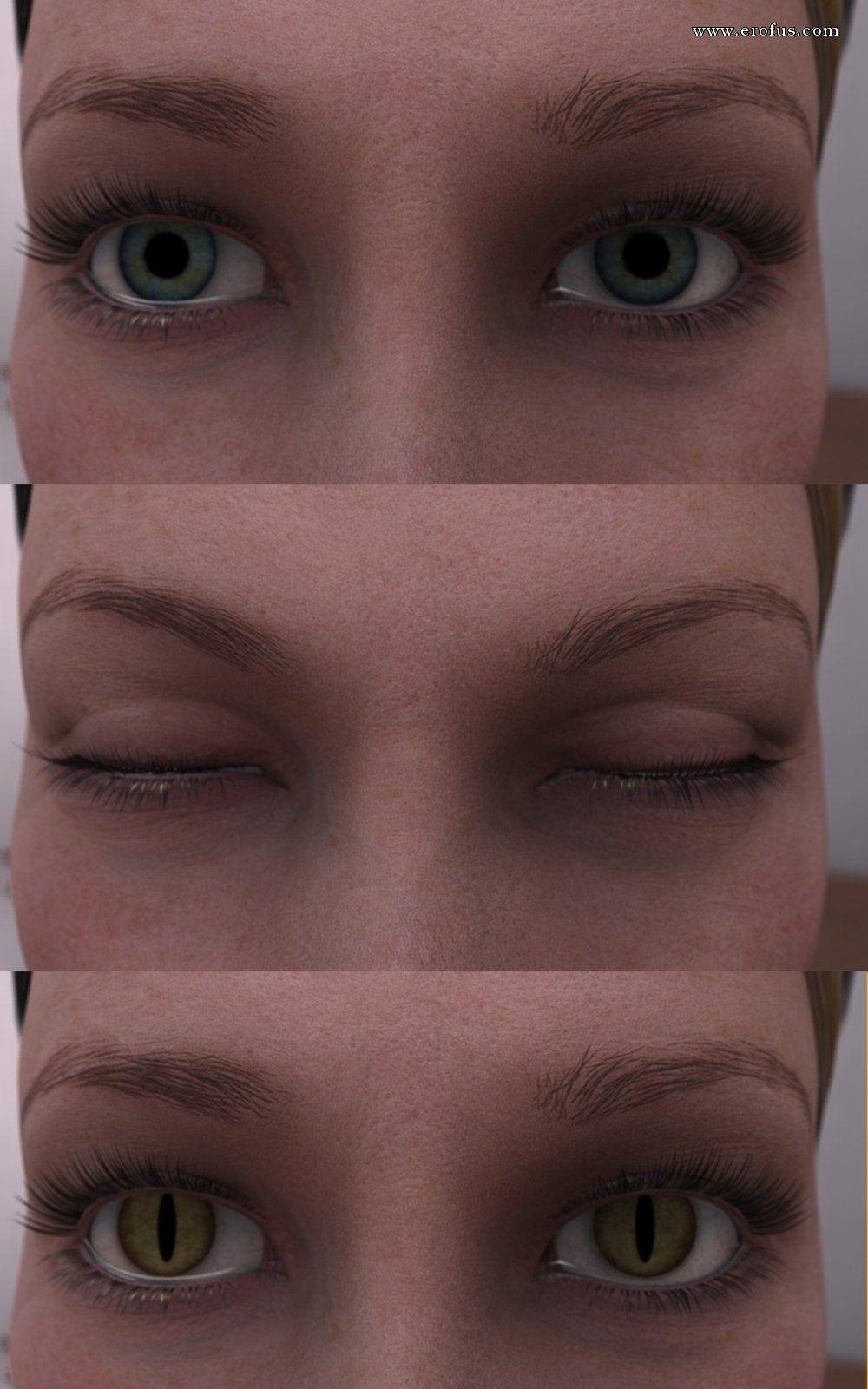 picture 28.jpg