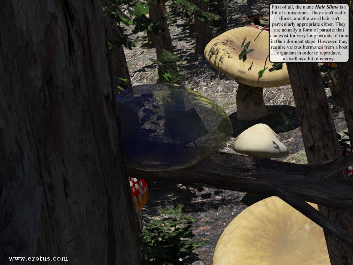 picture 02.jpg