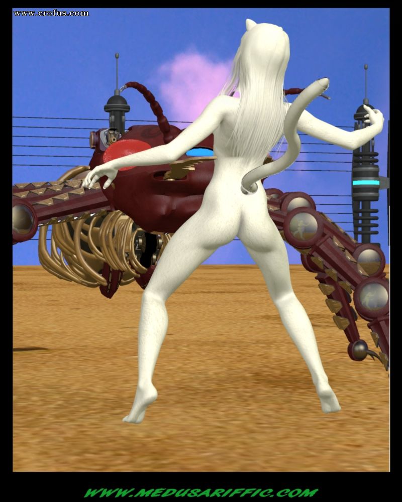 picture 15.jpg