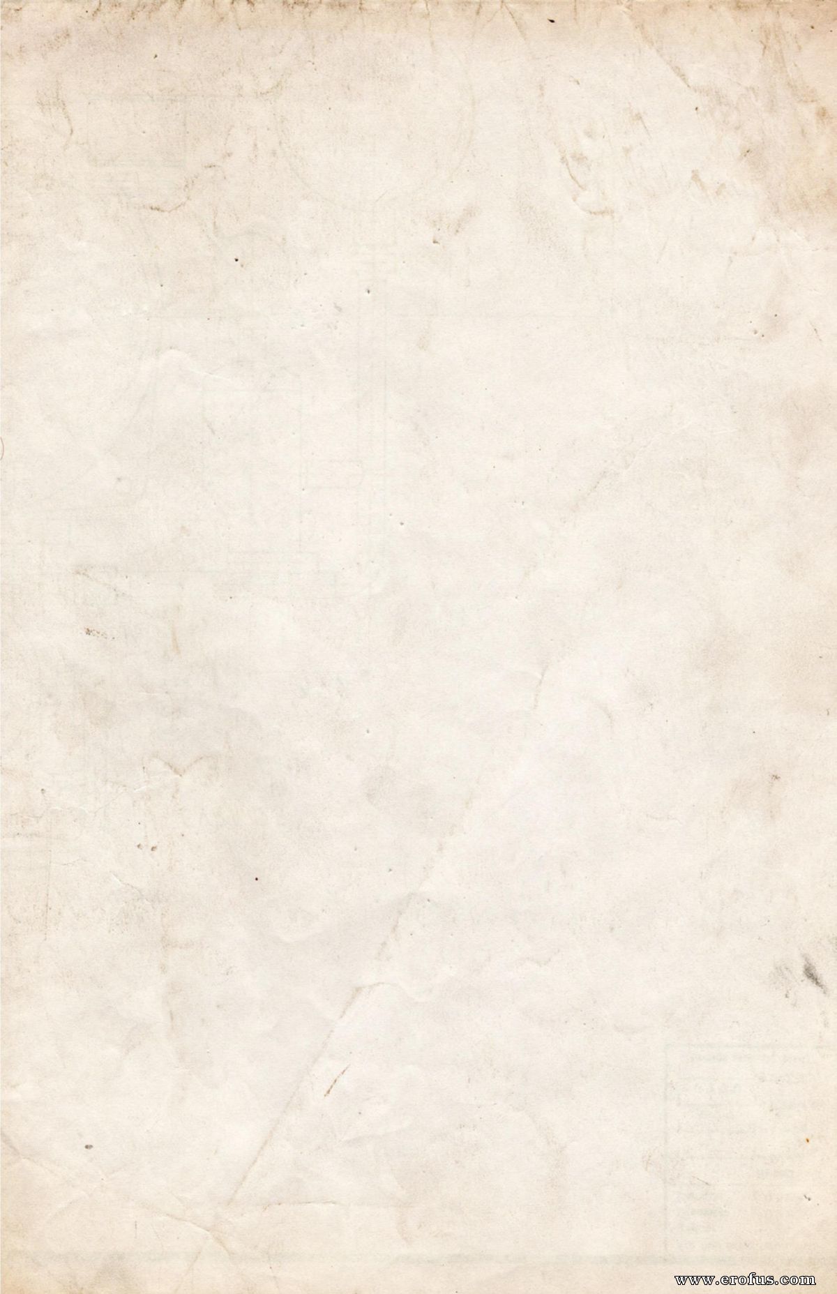 picture 29.jpg