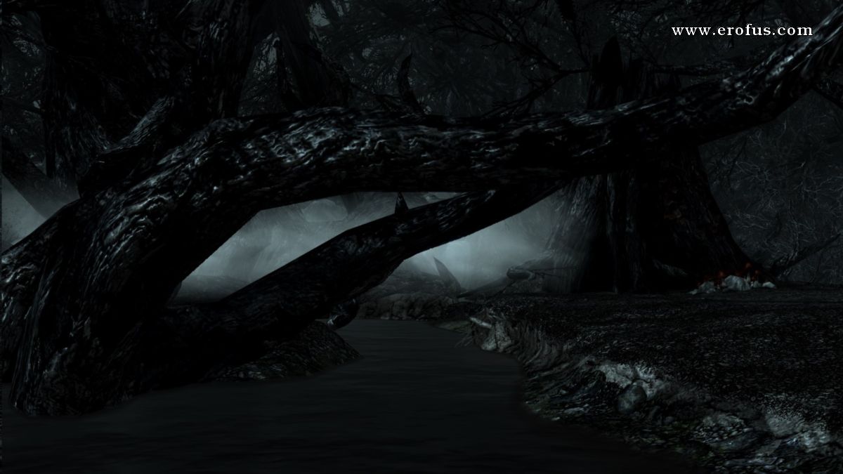 picture 50.jpg