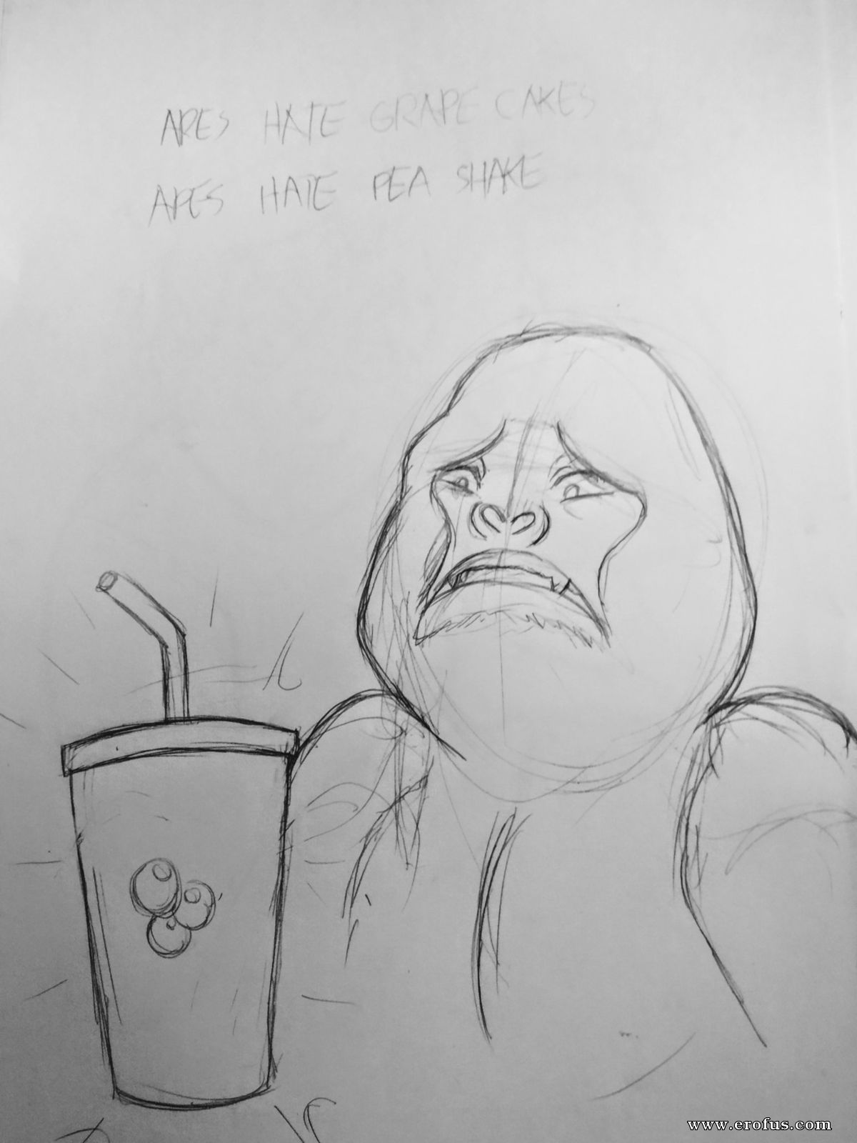 picture 32.jpg