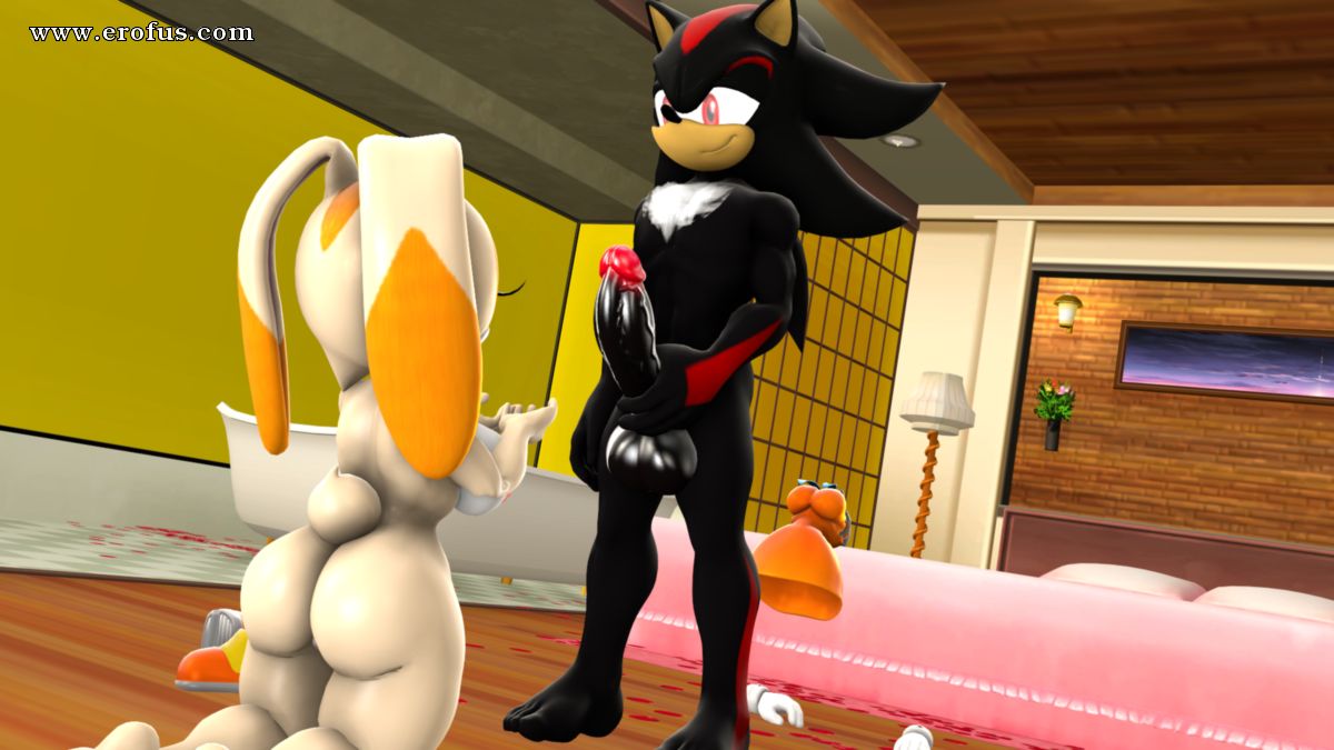 picture 01.png