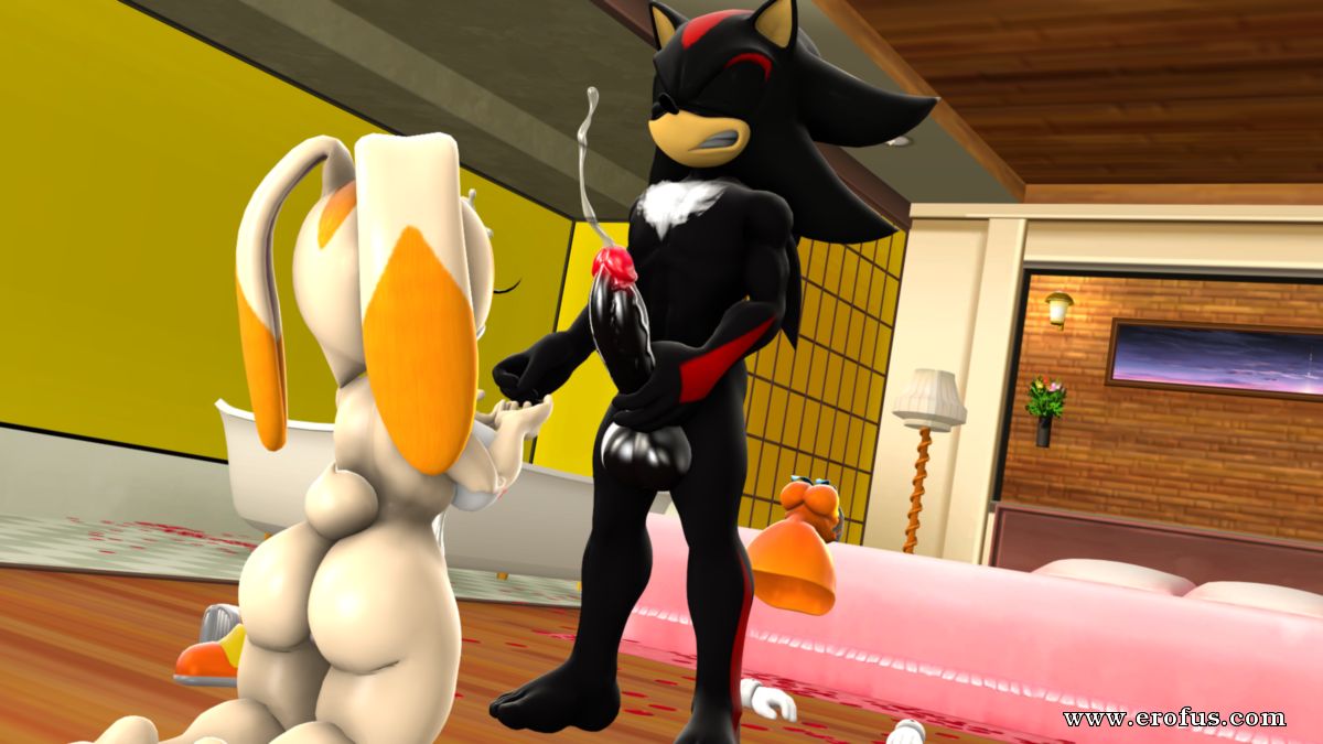 picture 04.png