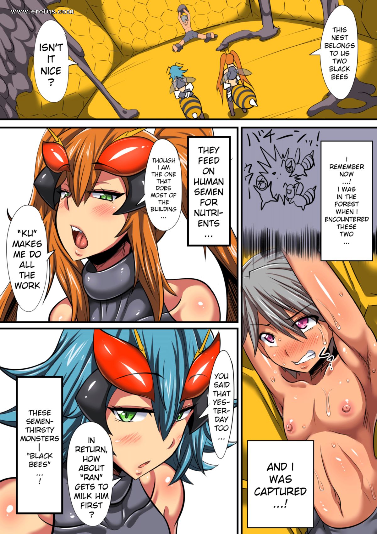 picture 03.png