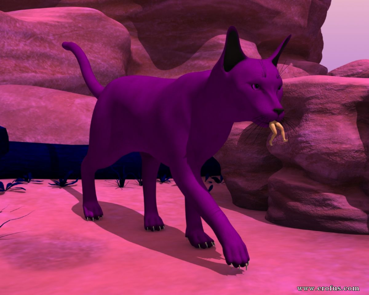picture 36.jpg