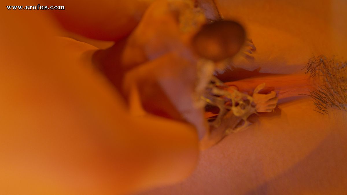 picture 171.jpg