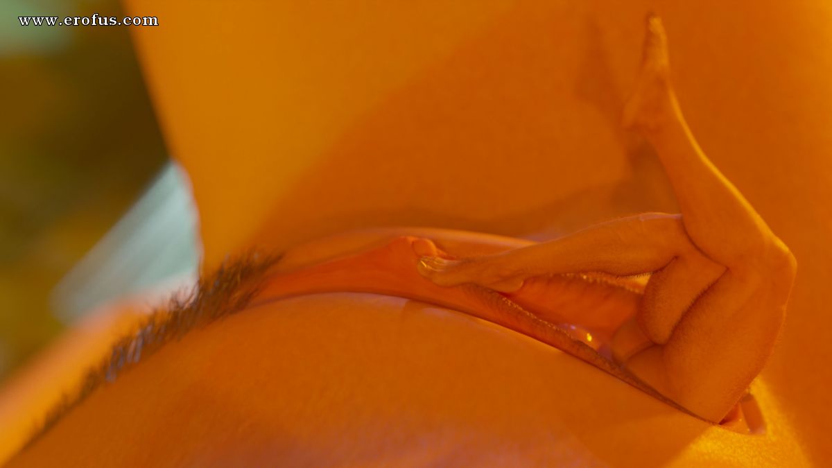 picture 204.jpg