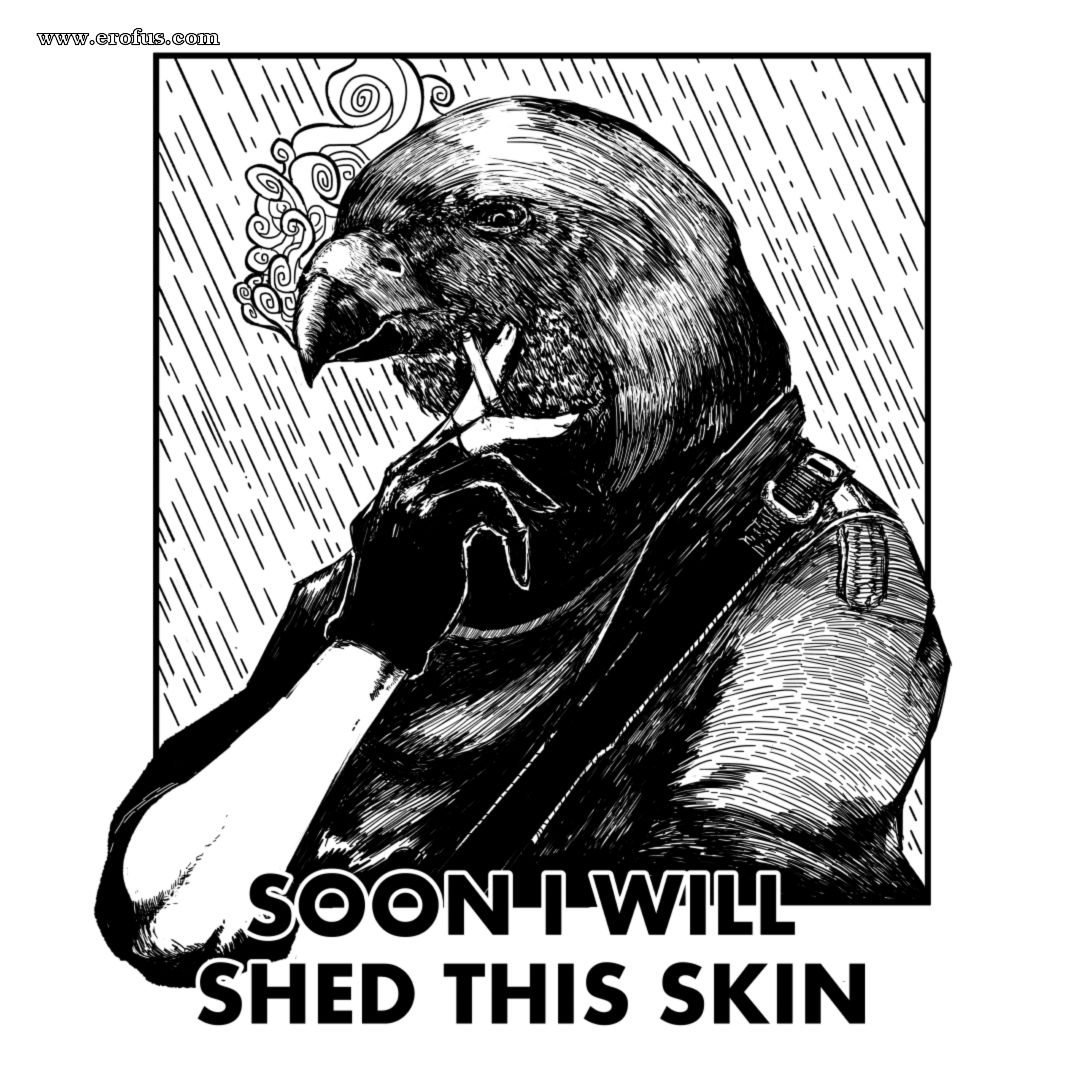 picture 54.png