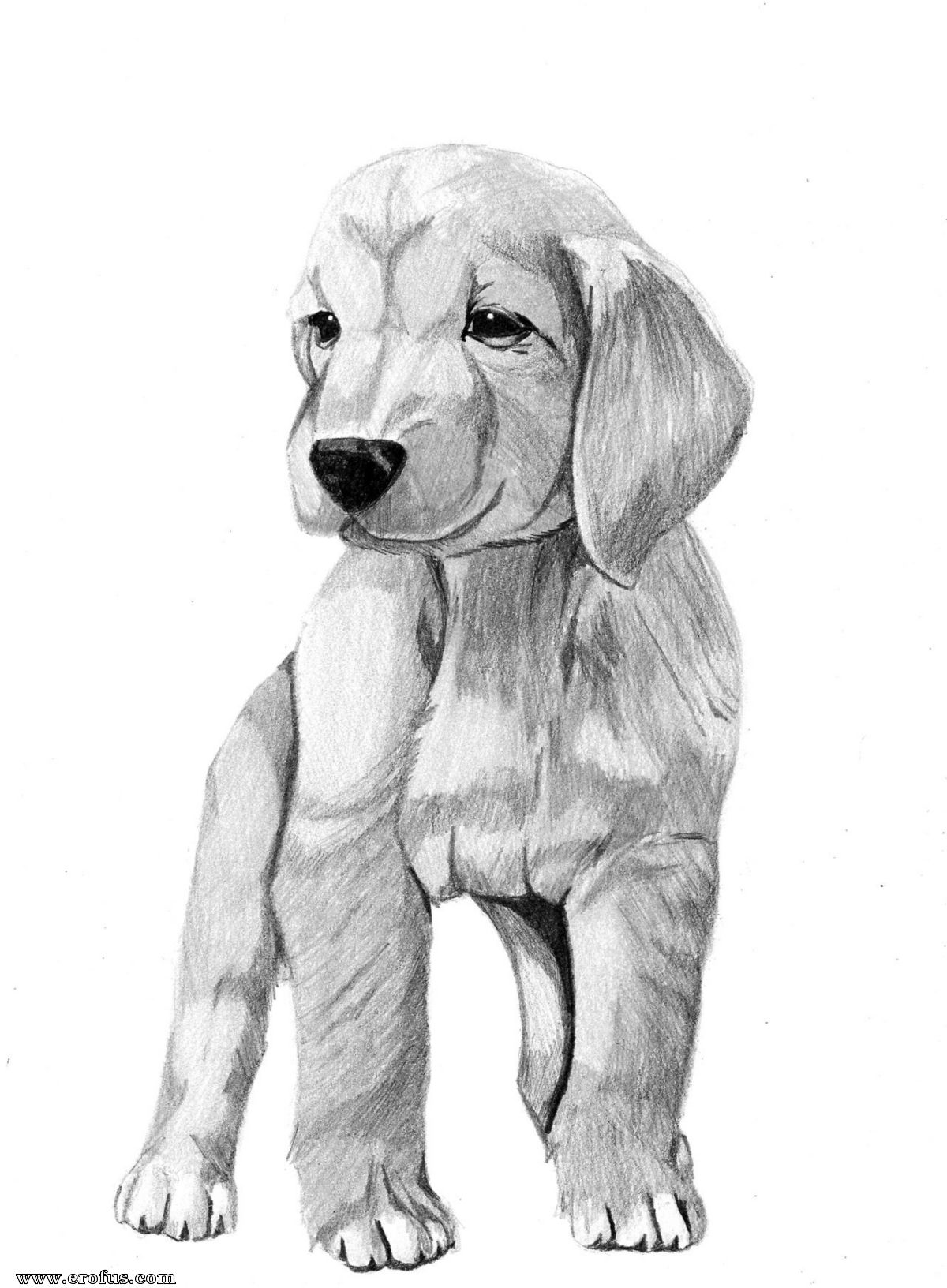 picture 36.jpg