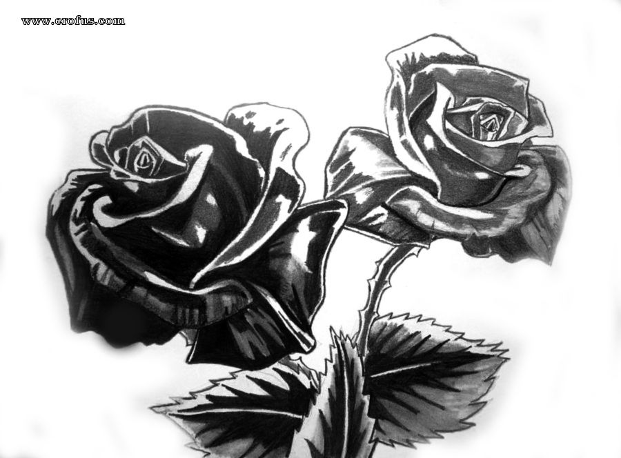 picture 49.jpg