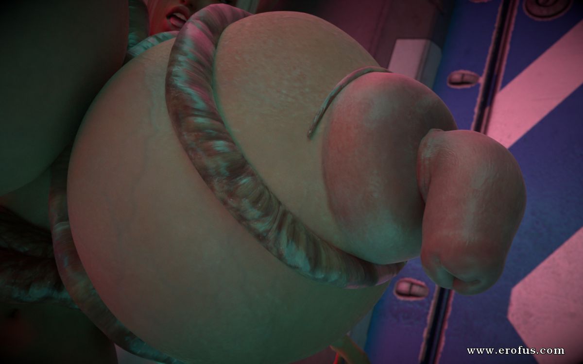 picture 15.jpg