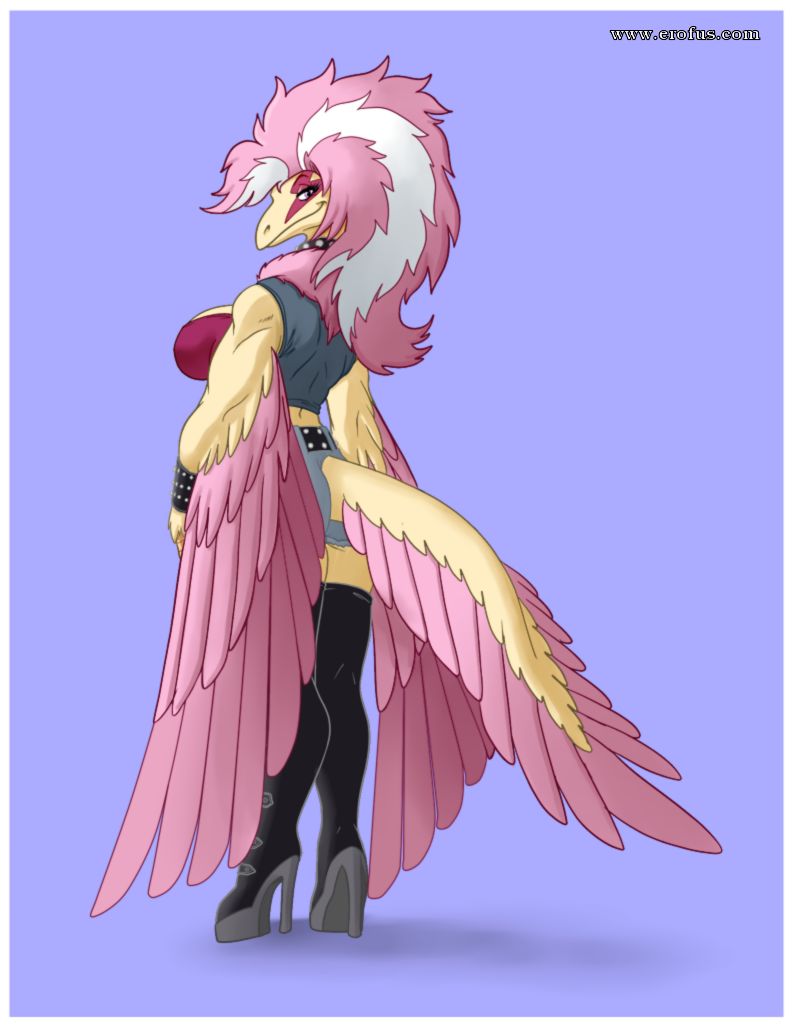 picture 81.png