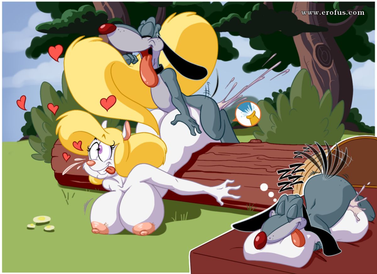 picture 62.png