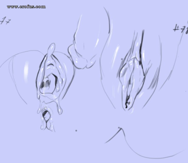 picture 238.png