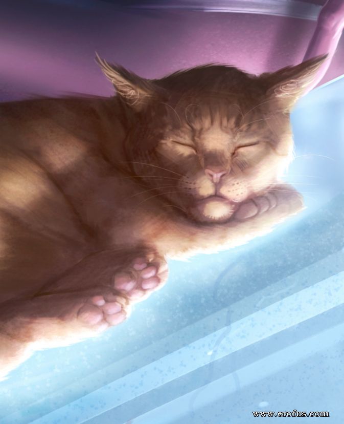 picture 78.png