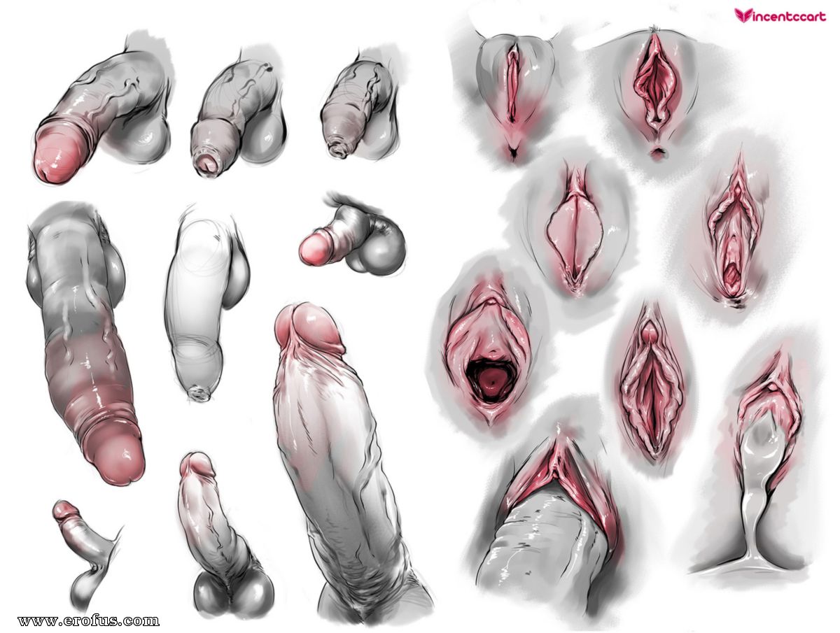 picture 104.jpg