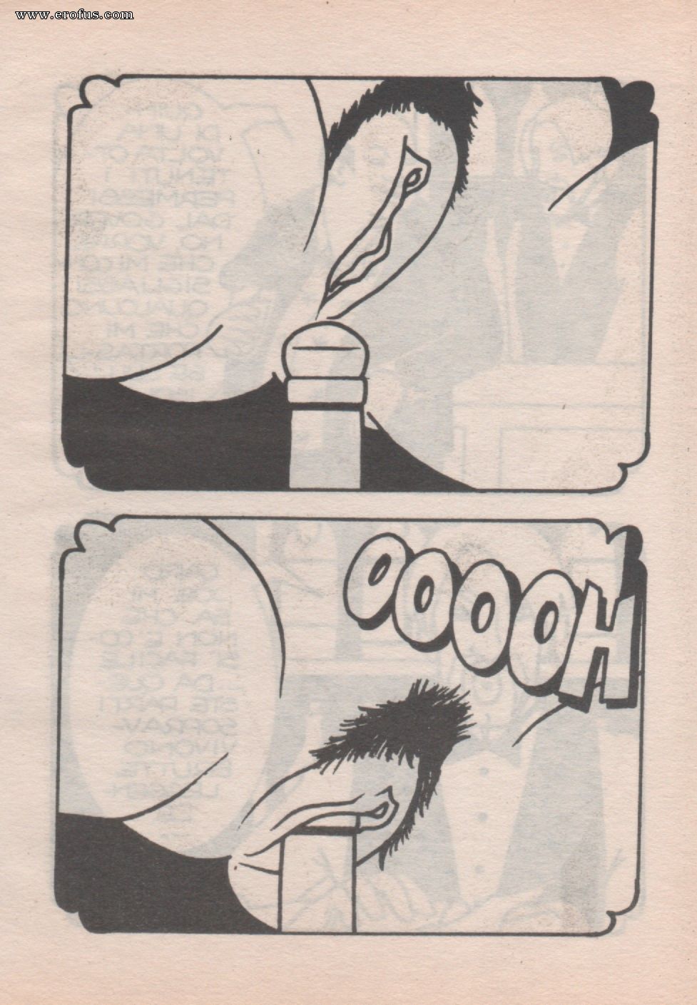 picture 36.jpg