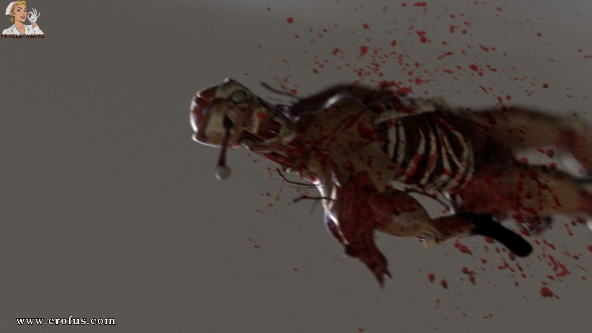 picture 15.jpg