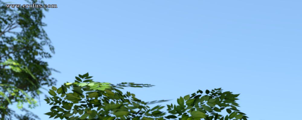 picture 10.png
