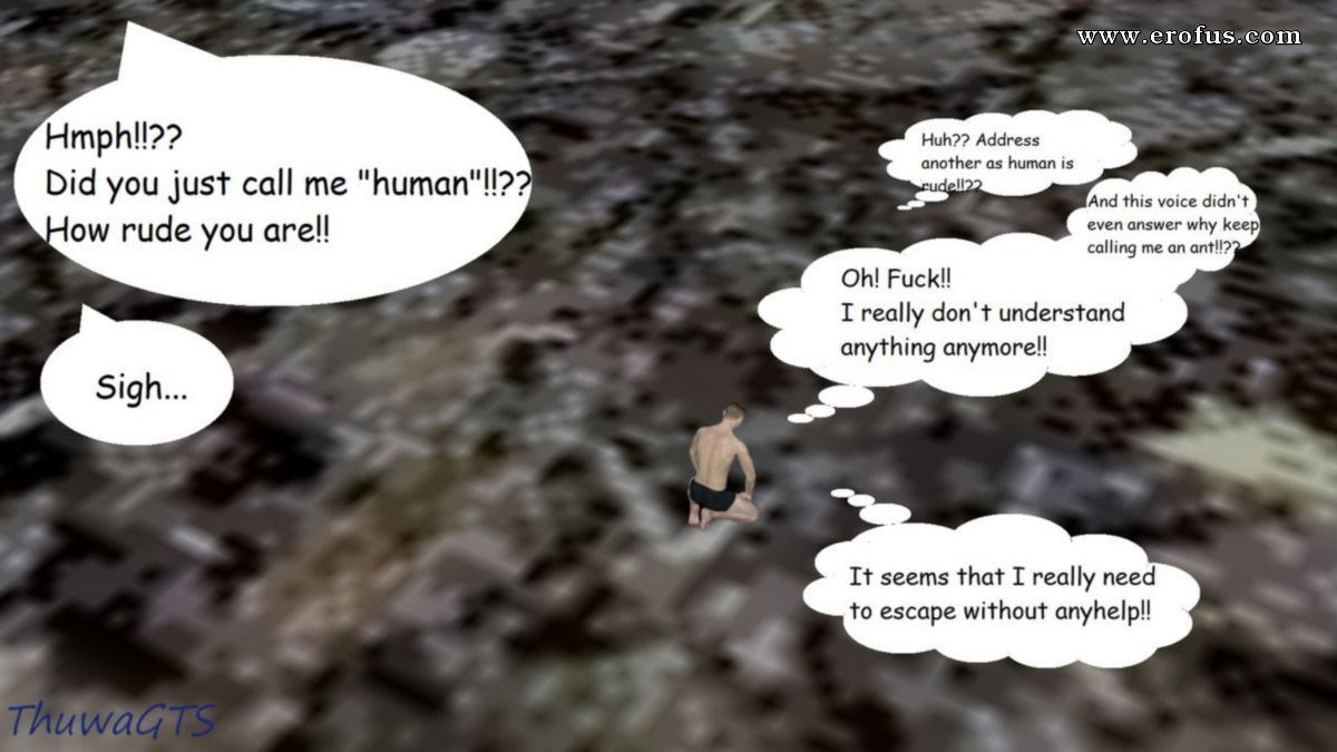 picture 21.jpg
