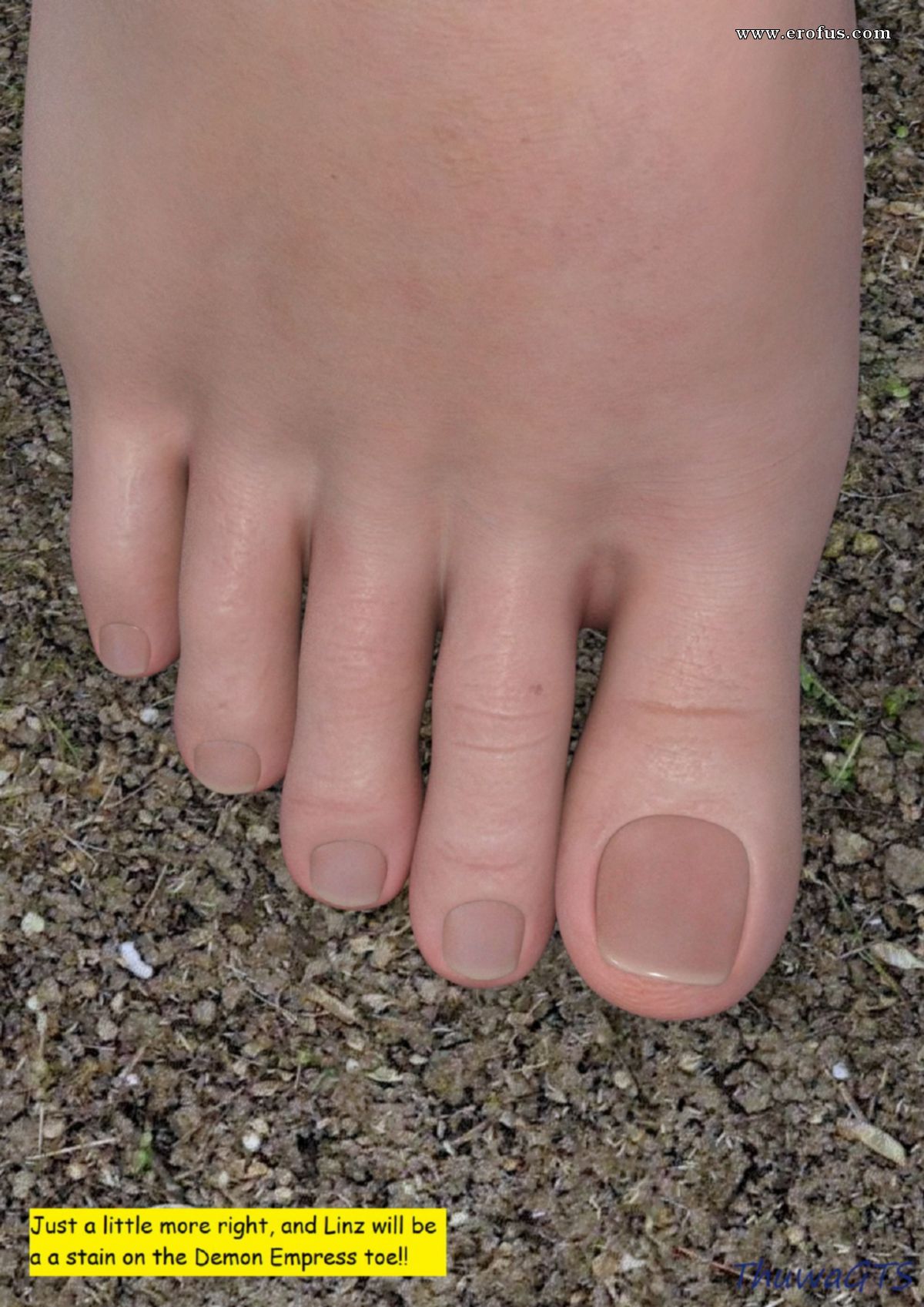 picture 54.jpg