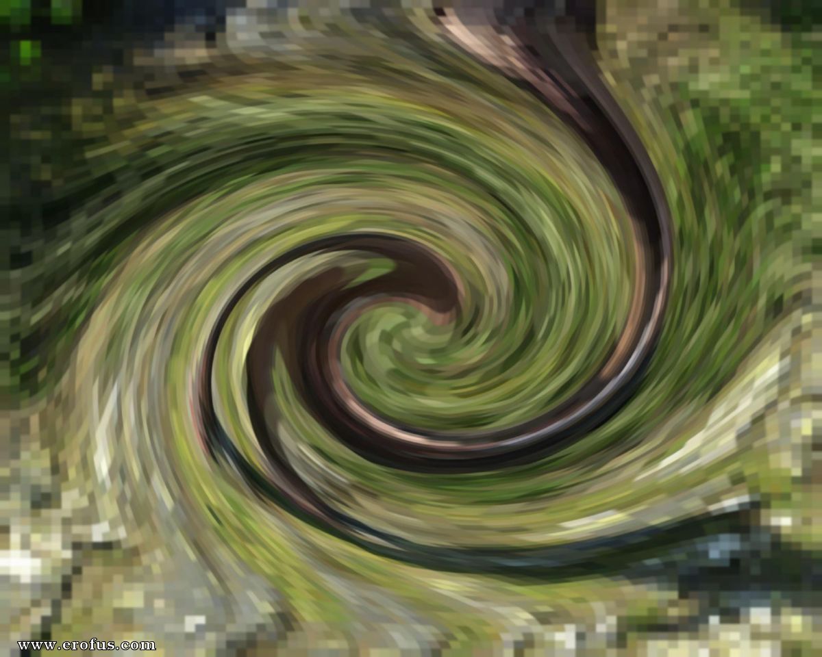 picture 23.jpg