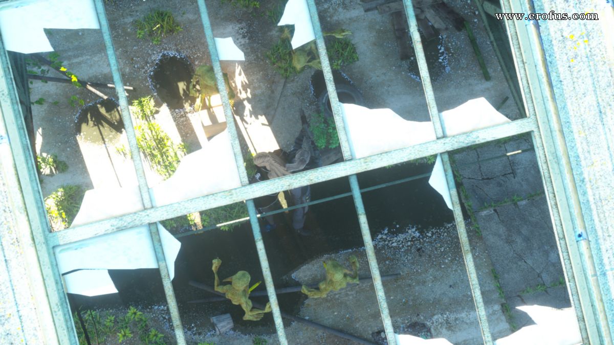 picture 19.jpg