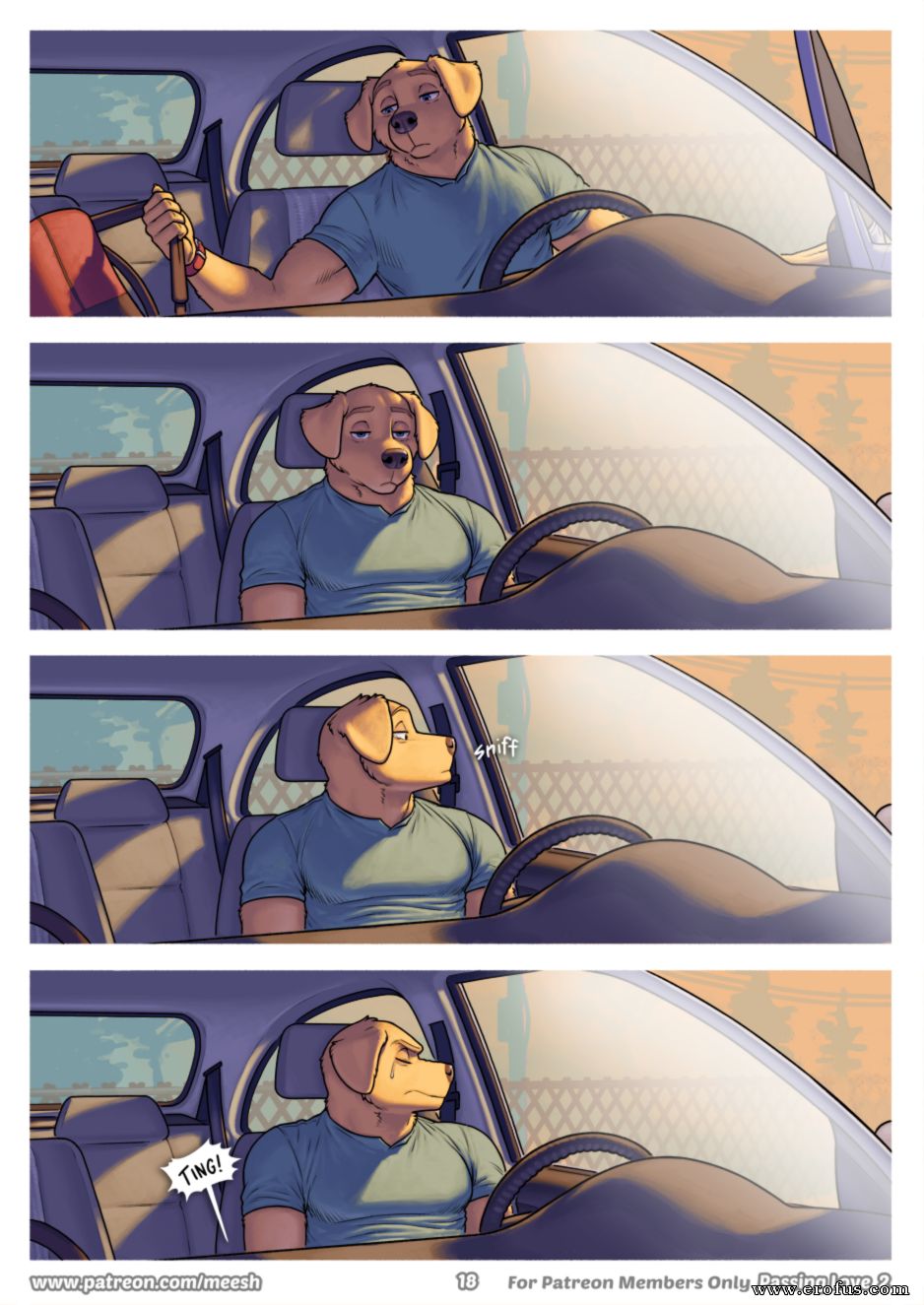 picture 18.png