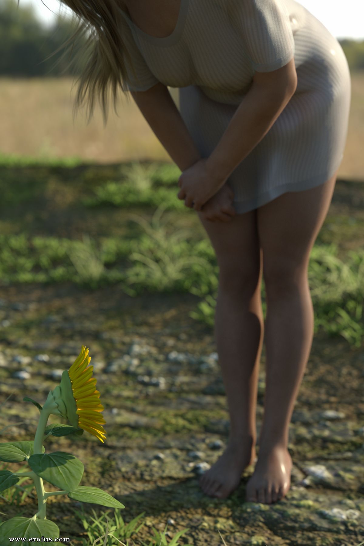 picture 11.jpg
