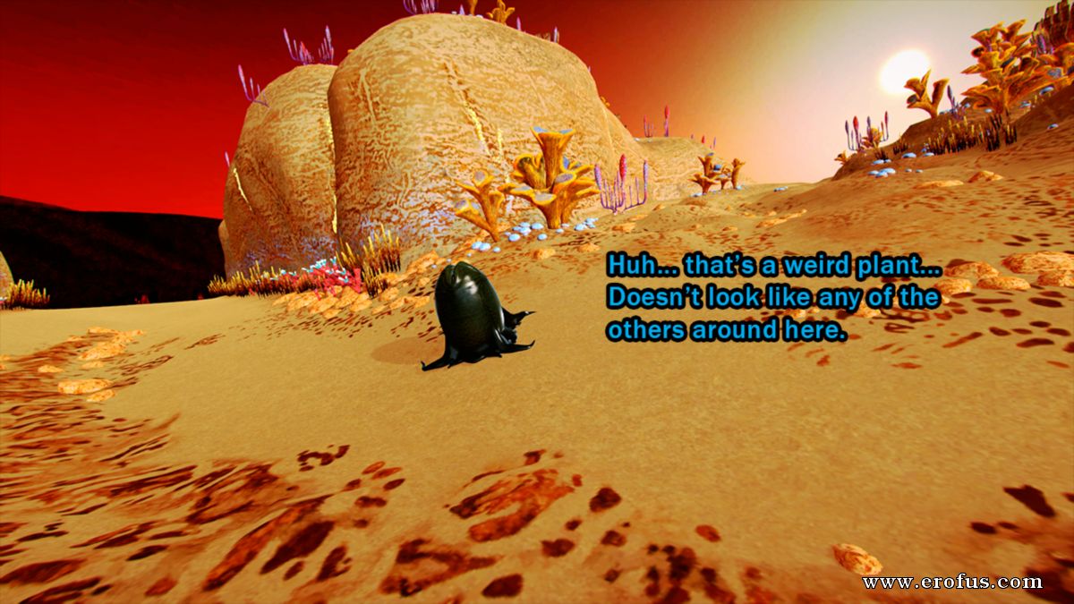 picture 06.png