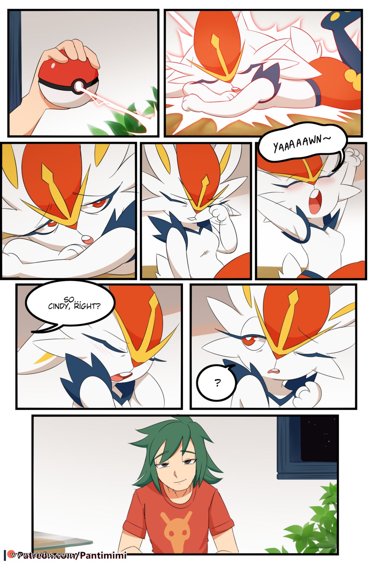 picture 05.png