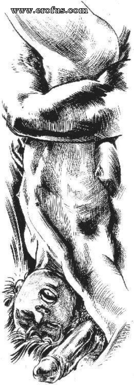 picture 18.jpg
