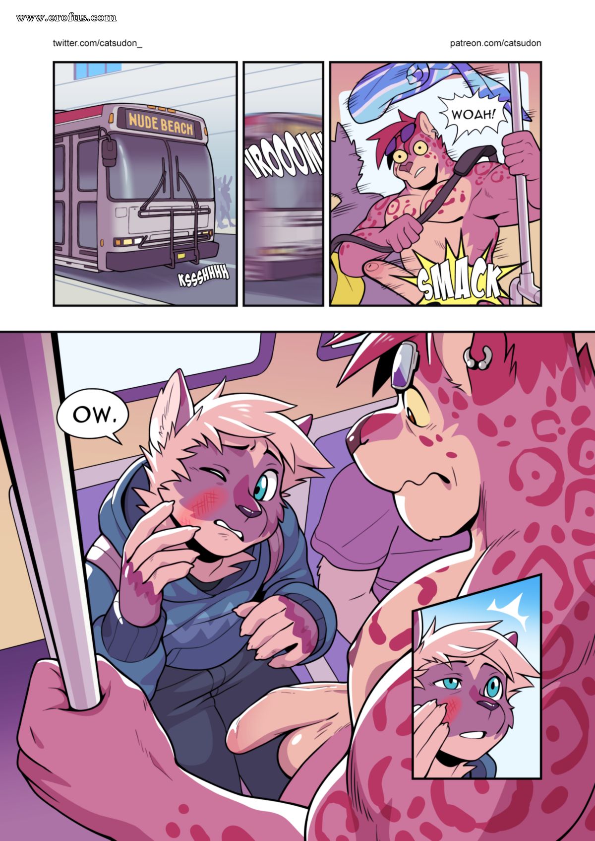 picture 03.png