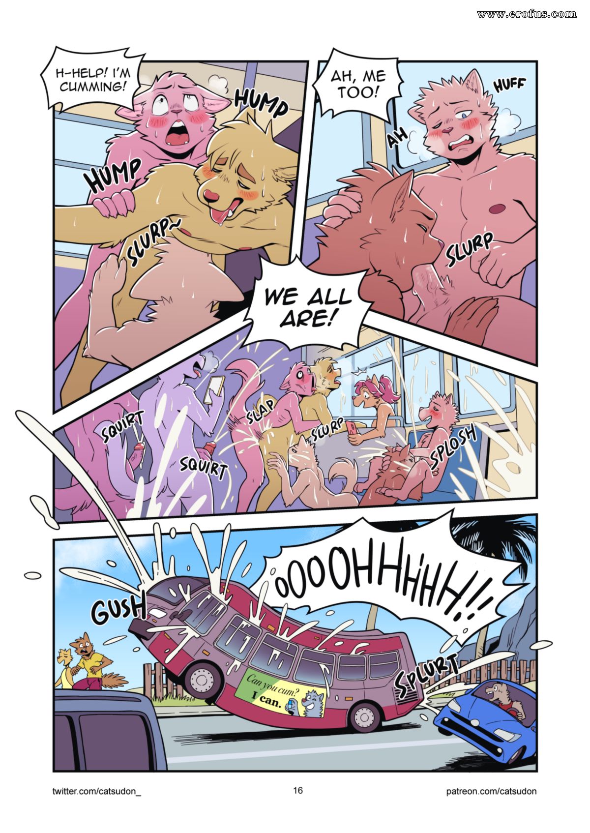 picture 16.png
