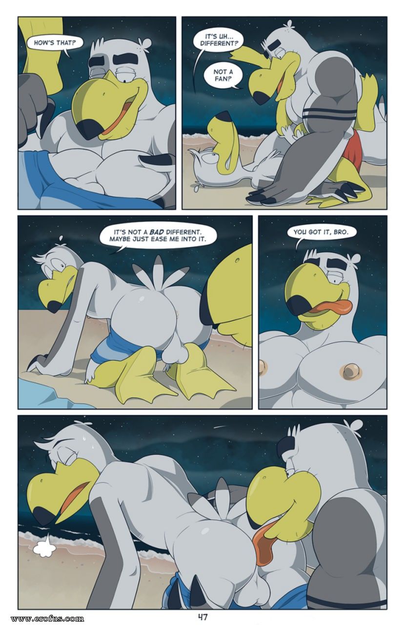 picture 47.png